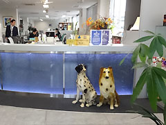 カウンター